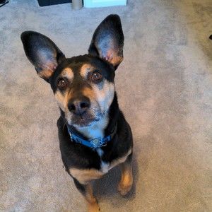 Meet your Posher, Linda